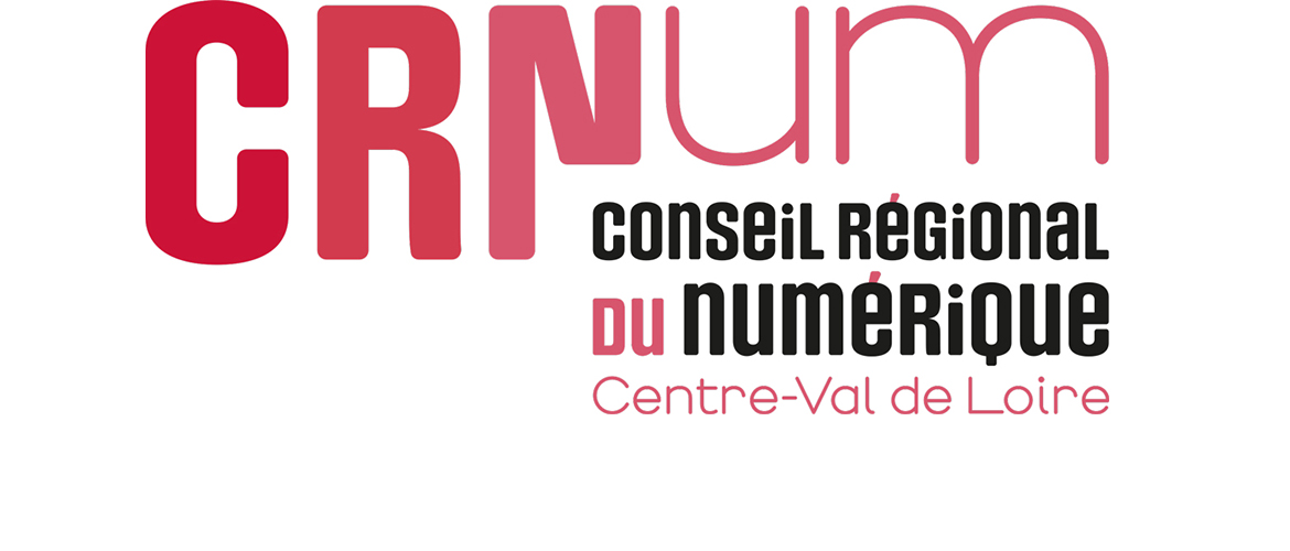 Logo Conseil Régional du numérique